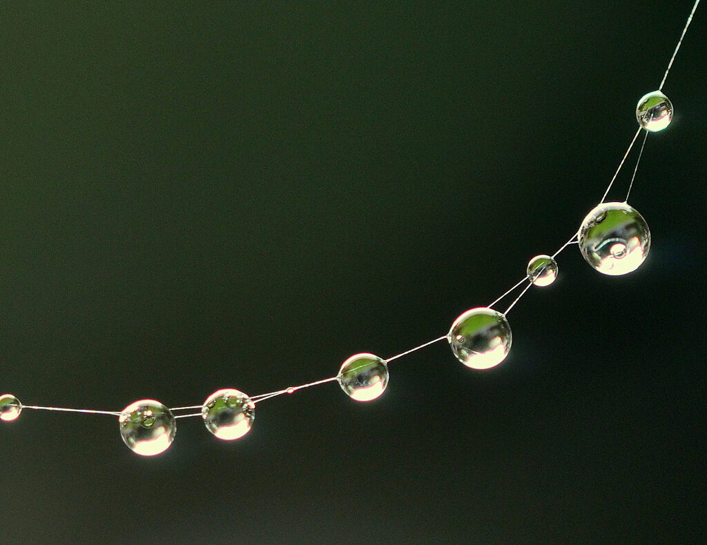 Waterdruppels als parels aan een draad tegen een donkere achtergrond